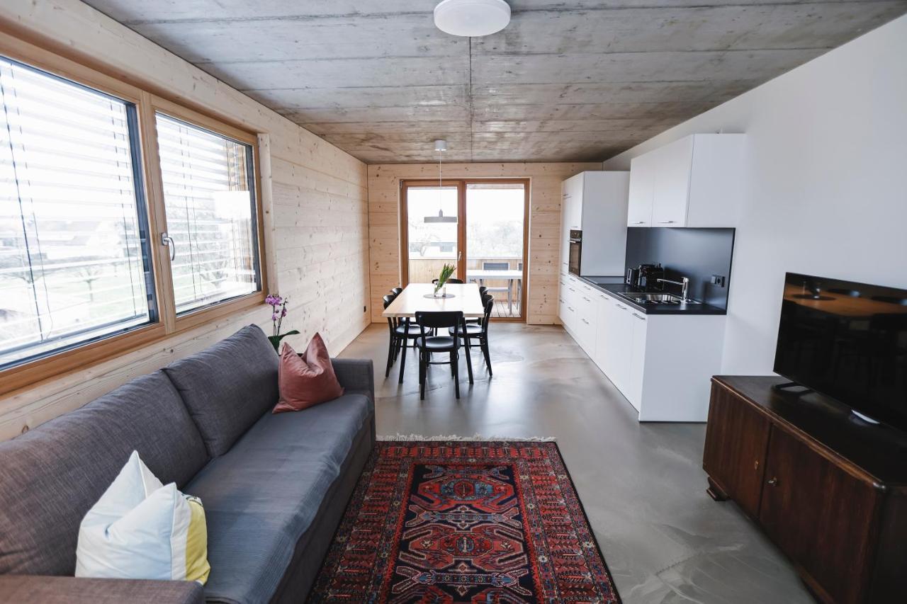 Boutique Apartments Lustenau Nachhaltige Kuehlung Ueber Erdsonde Und Fussbodenkuehlung エクステリア 写真