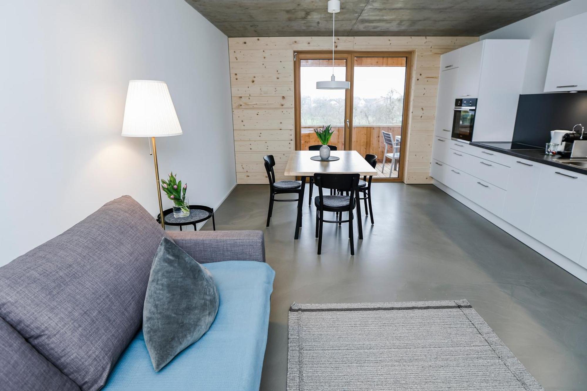 Boutique Apartments Lustenau Nachhaltige Kuehlung Ueber Erdsonde Und Fussbodenkuehlung 部屋 写真